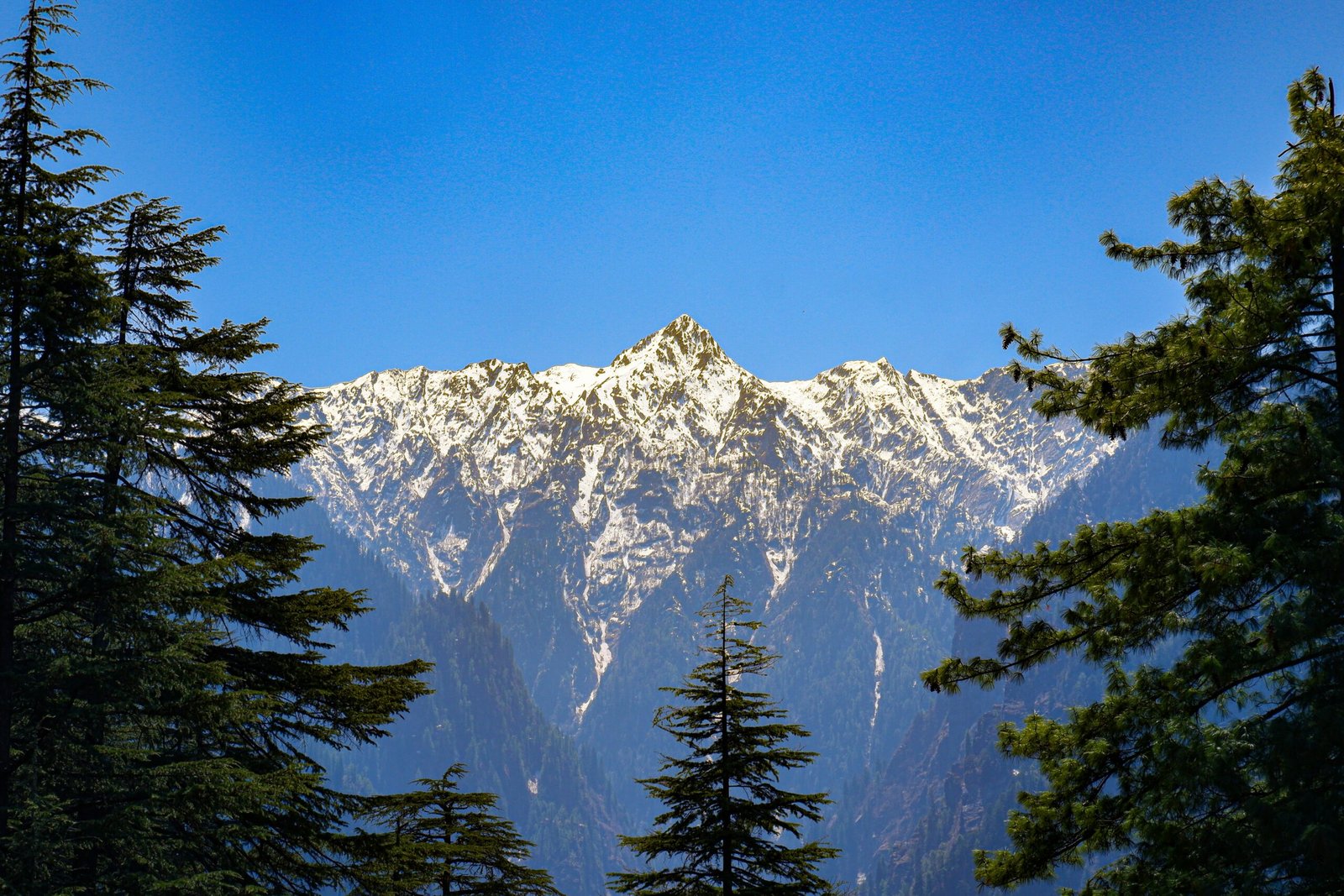 travel-agency-in-faridabad