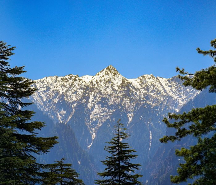 travel-agency-in-faridabad